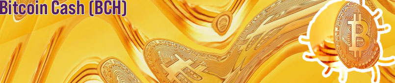Bitcoins existentes